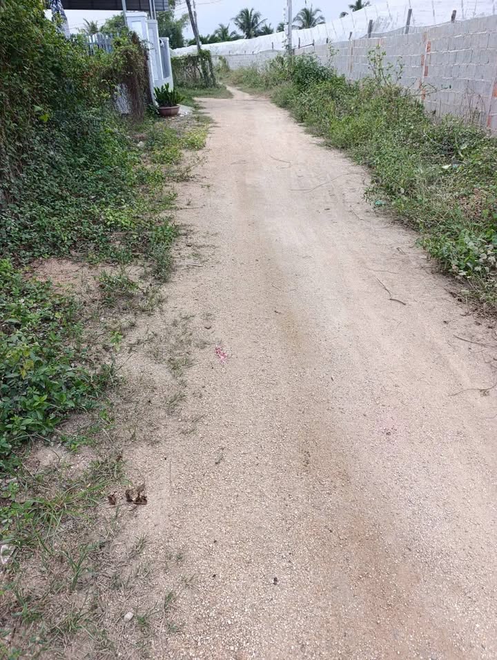 Đất cây lâu năm Phước Dân 500m² giá thỏa thuận - Đường vào tận nơi!