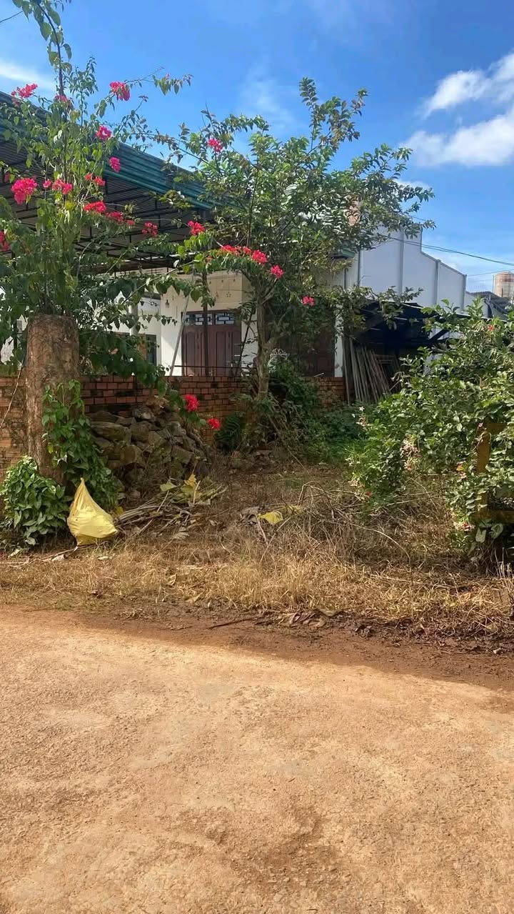 Đất nền Mỹ Yên Bến Lức 245m² giá 2.357 tỷ - Gần nhà thờ, đường thông thoáng!