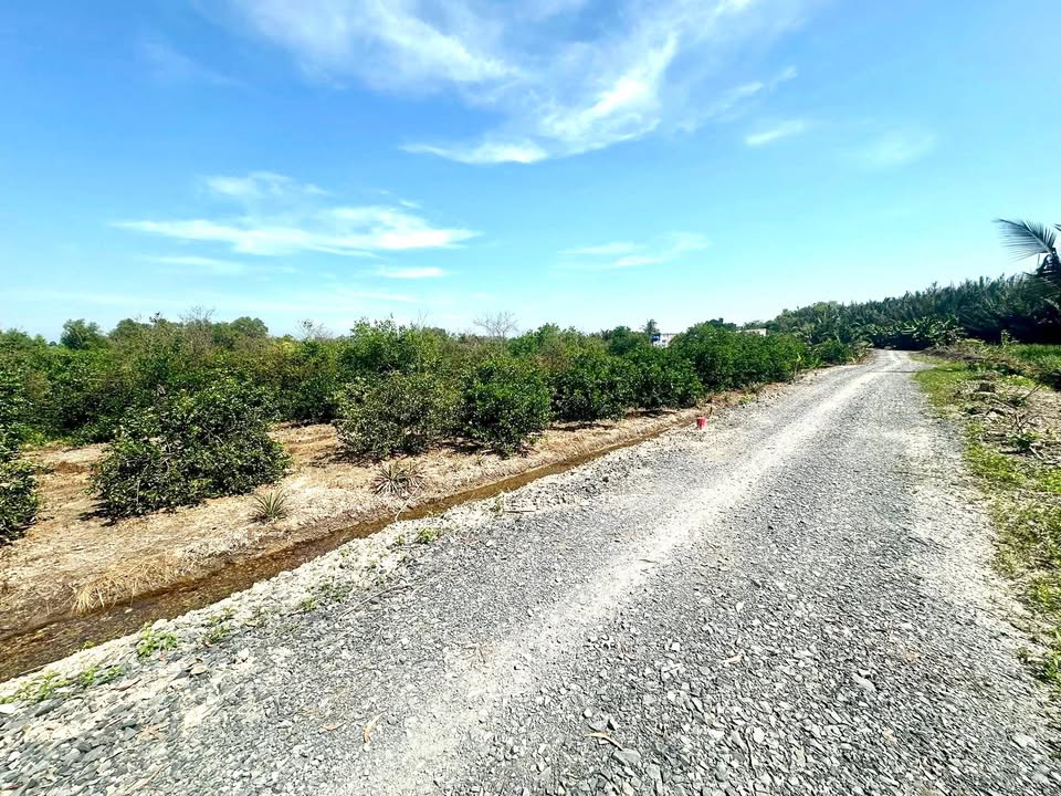 Đất nền Bình Đức Bến Lức 500m² chỉ 450 triệu - Sổ hồng chính chủ, khu dân cư yên tĩnh!