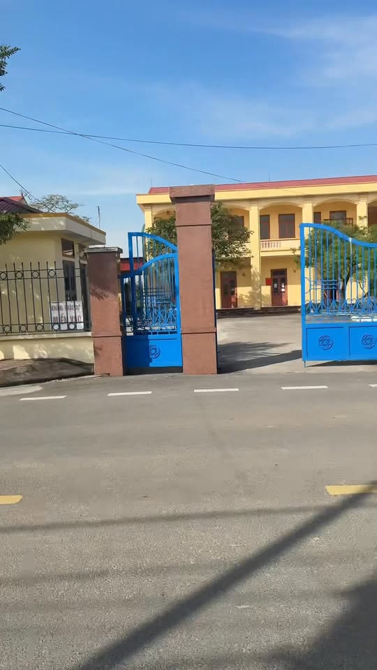 Đất thổ cư 100m² mặt đường đá trục xã Tam Đa - Giá chỉ 1.8 tỷ!