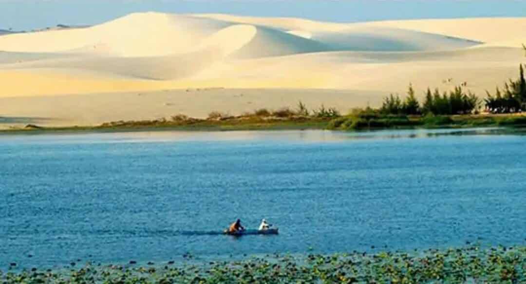 Đất Farm 1ha tại Hòa Thắng, Bắc Bình chỉ 360 triệu - Đầu tư sinh lời ngay!