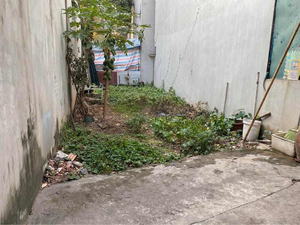 Đất nền Hoàng Liệt 55m² giá 7 tỷ - Cơ hội đầu tư hấp dẫn!