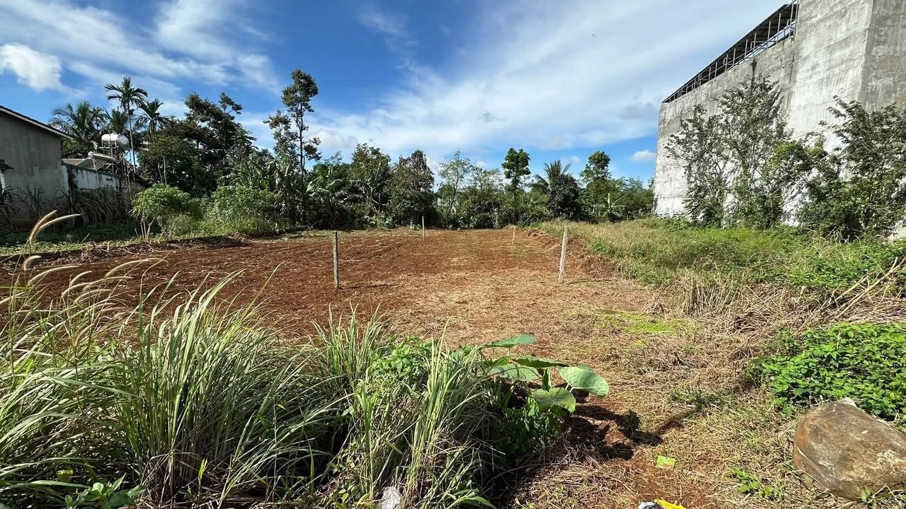 Đất nền tại phường Tân An, Buôn Ma Thuột 205m² giá 3 tỷ - Đầu tư sinh lời hấp dẫn!