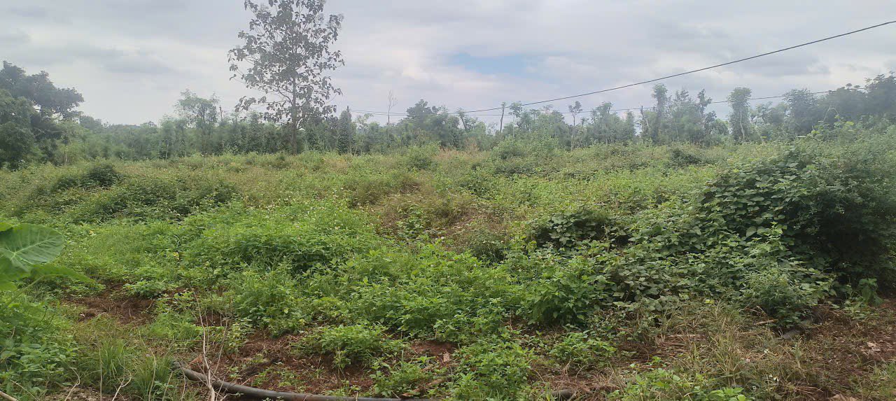 Đất nền Quảng Phú, Cư M'gar 828m² giá chỉ 600 triệu - Cơ hội đầu tư tốt!