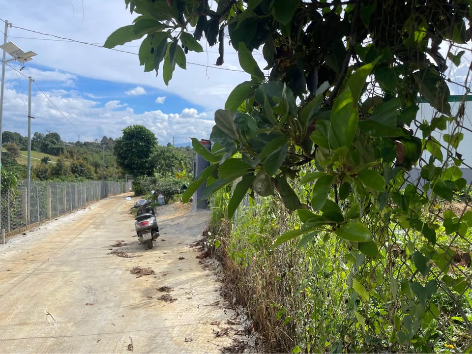 Đất Lộc An Bảo Lâm 162m² giá 960 triệu - Đường lớn ô tô tận nơi!