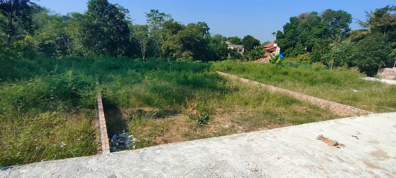 Đất nền Cẩm Khê 145m² giá thỏa thuận - Sổ hồng chính chủ!