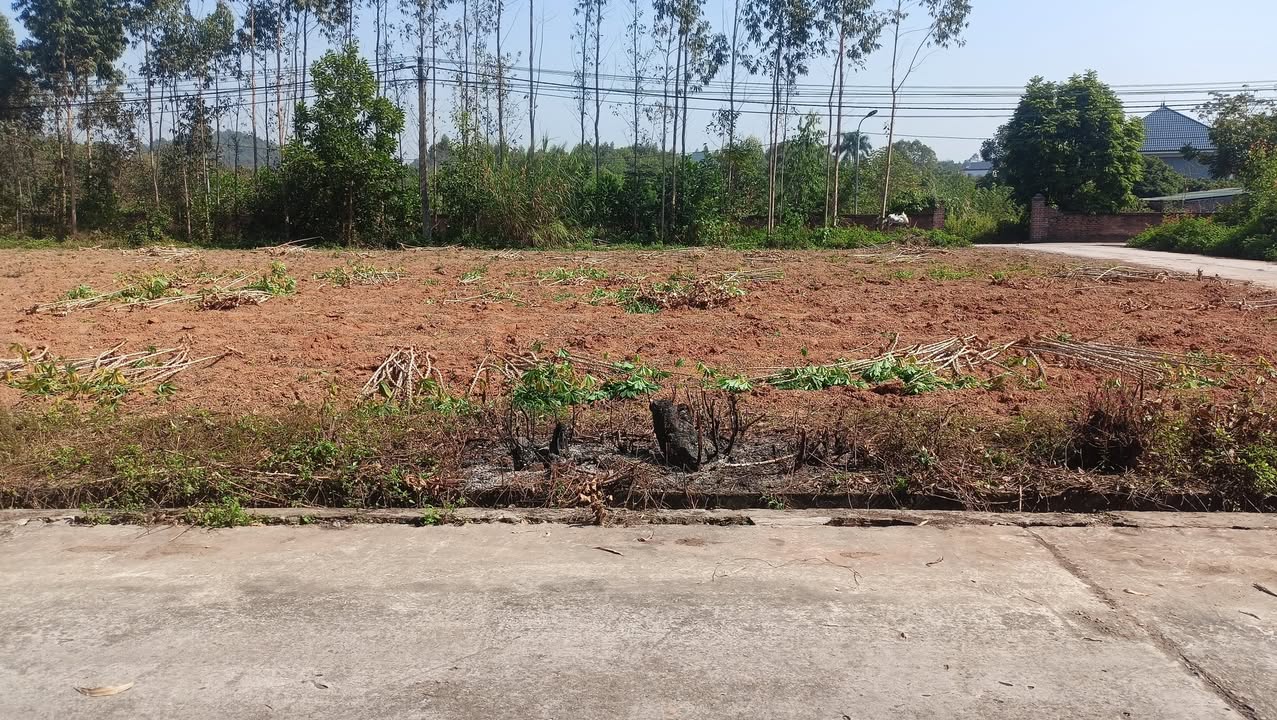 Đất nền Chu Hóa, Việt Trì 300m² giá 3 tỷ - Cơ hội đầu tư hiếm có!