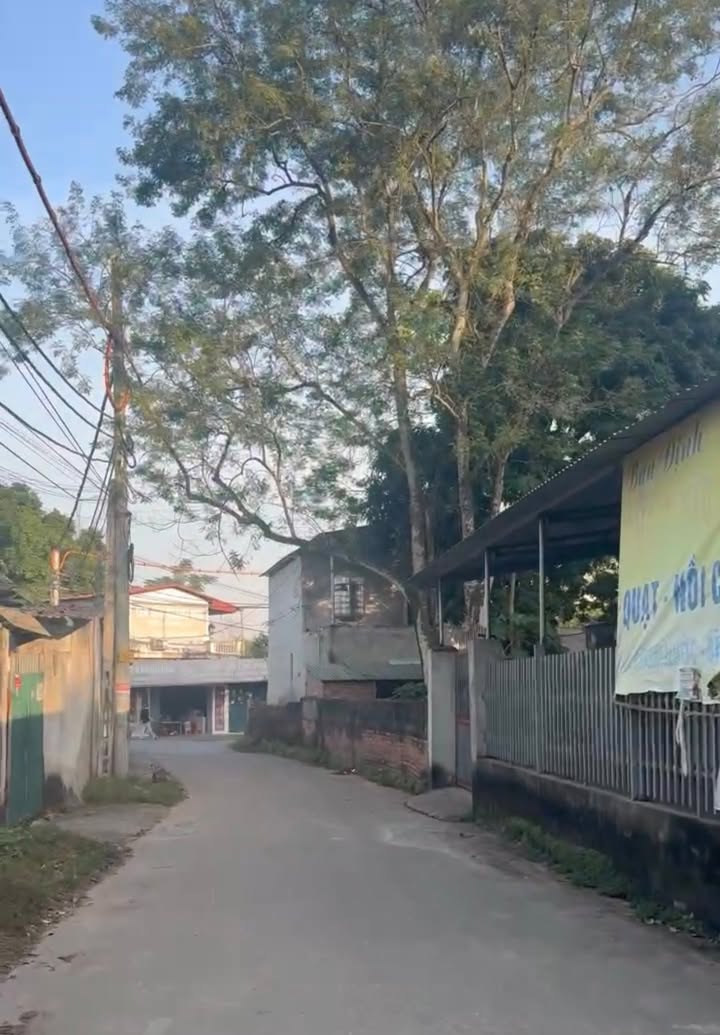 Đất thổ cư Cẩm Đội, Nông Trang, Việt Trì 100m² - Tiềm năng sinh lời cao!