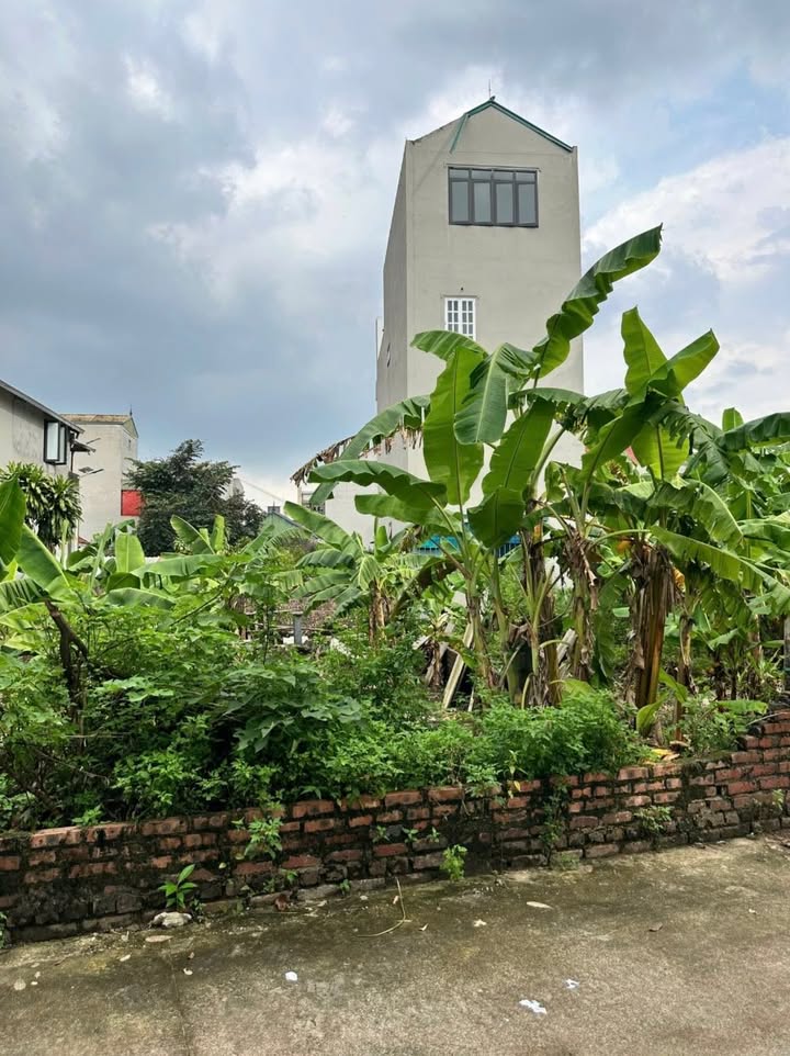 Đất nền đẹp tại Bắc Hồng, Đông Anh 66m² - Cơ hội đầu tư sinh lời!