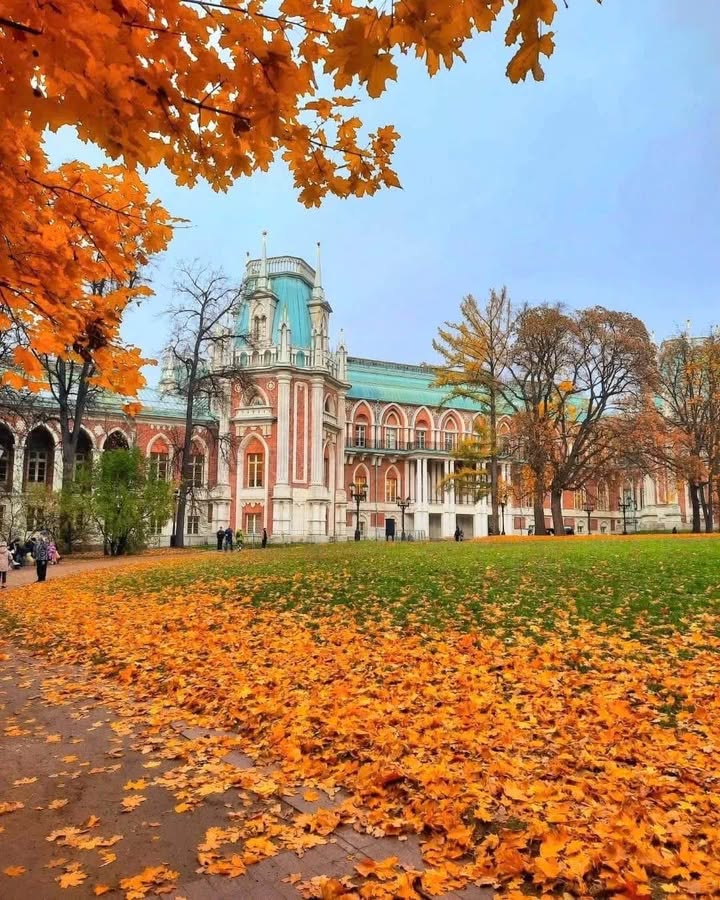 Đất nền đường Thủy Sơn 6, Đà Nẵng 100m² giá 7.5 tỷ - Vị trí đẹp gần biển!