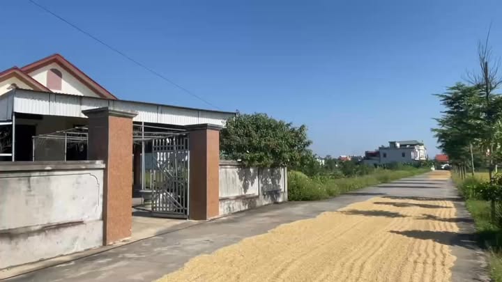 Nhà mái Thái Thôn Phú Bùi, xã Bình Giang 300m² - Giá cả thỏa thuận hấp dẫn!