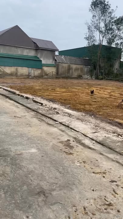 Đất thổ cư Hữu Ninh, Mai Phụ, Lộc Hà 140m² giá chỉ 6xx triệu - Cơ hội đầu tư không thể bỏ lỡ!