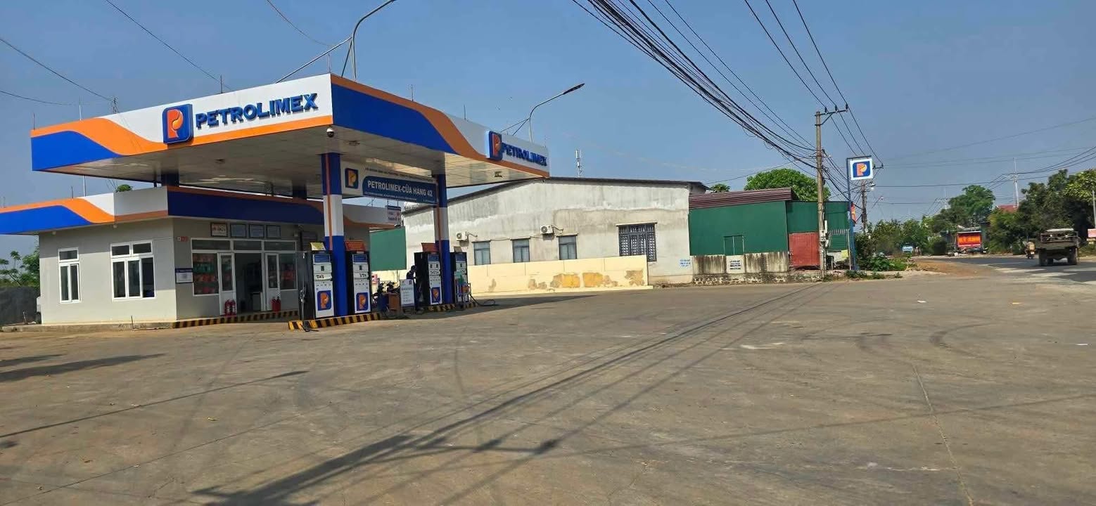 Đất thổ cư Nam Dong 260m² giá 448.5 triệu - Kinh doanh đa dạng ngay trục chính!