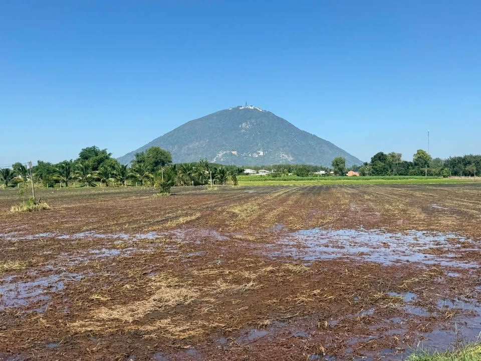 Đất nền Dương Minh Châu Tây Ninh 145m² chỉ 300 triệu - View Núi Bà Đen tuyệt đẹp!