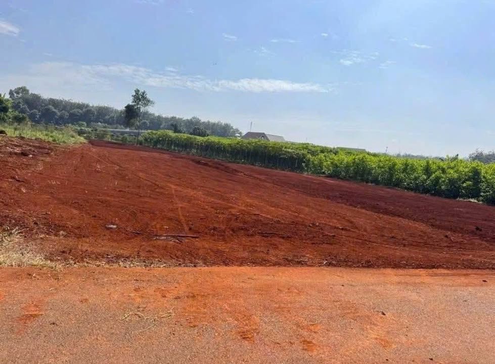 Lô đất 504m² tại Tam Long, Bà Rịa - Vũng Tàu chỉ 1.9 tỷ - Đầu tư sinh lời ngay!