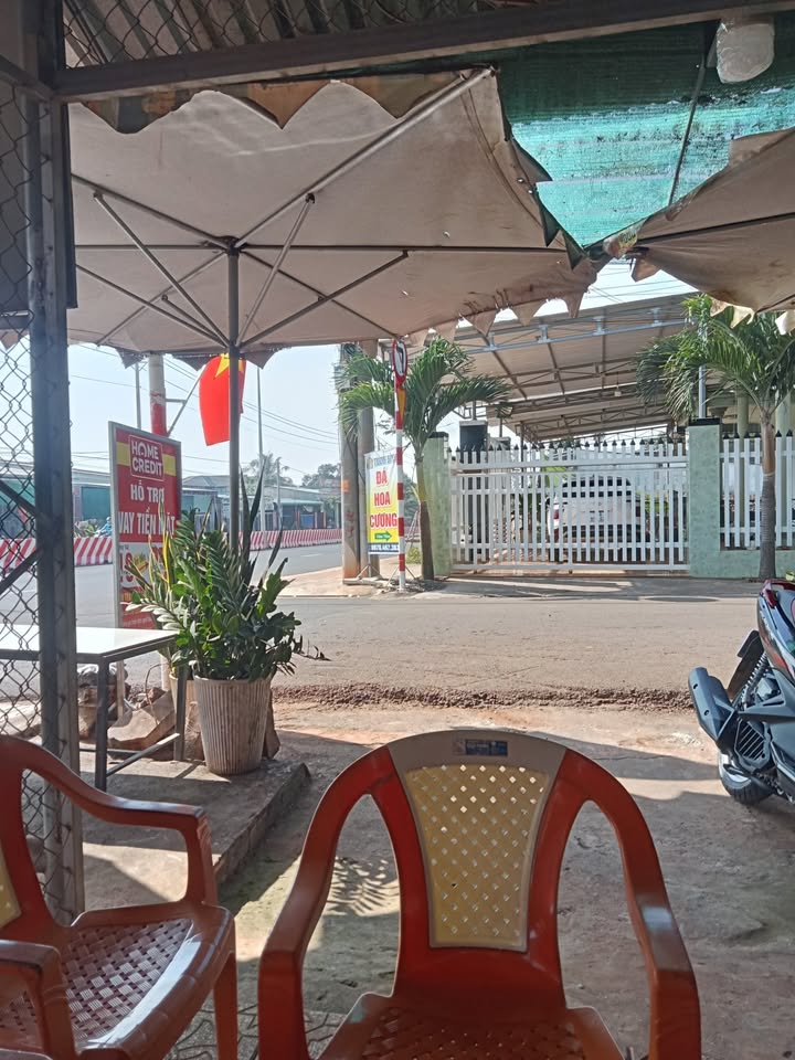 Đất nền Hòa Hưng Xuyên Mộc 1000m² giá chỉ 700 triệu - Đầu tư nhanh tay!