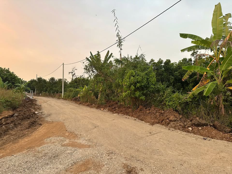 Đất nền Suối Nghệ, Châu Đức 2000m² giá 2.2 tỷ - Đầu tư sinh lời ngay!