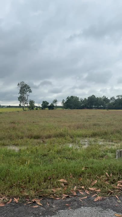 Đất thổ cư 200m² tại ấp Phước Đông, Tây Ninh giá chỉ 219 triệu - Sổ hồng sẵn