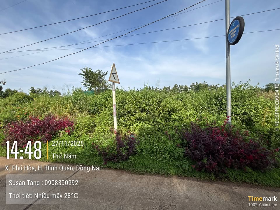 Đất nền ấp 4, xã Phú Hoà, Định Quán 155m² giá 520 triệu - Sổ hồng riêng, bớt lộc!