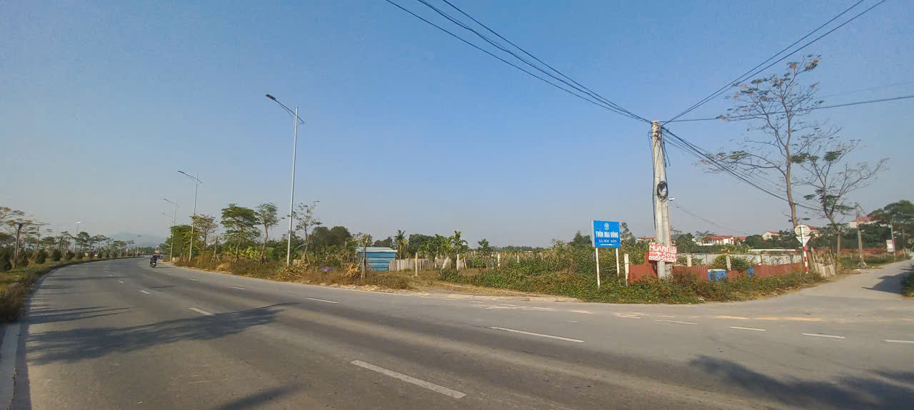 Đất nền 81m² Mai Đình, Sóc Sơn - Lô góc ô tô tránh, vị trí đắc địa!