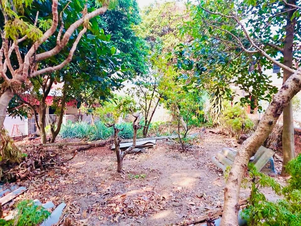 Đất thổ cư 272m² chính chủ tại Minh Phú, Sóc Sơn - Đường ô tô vào tận nơi!