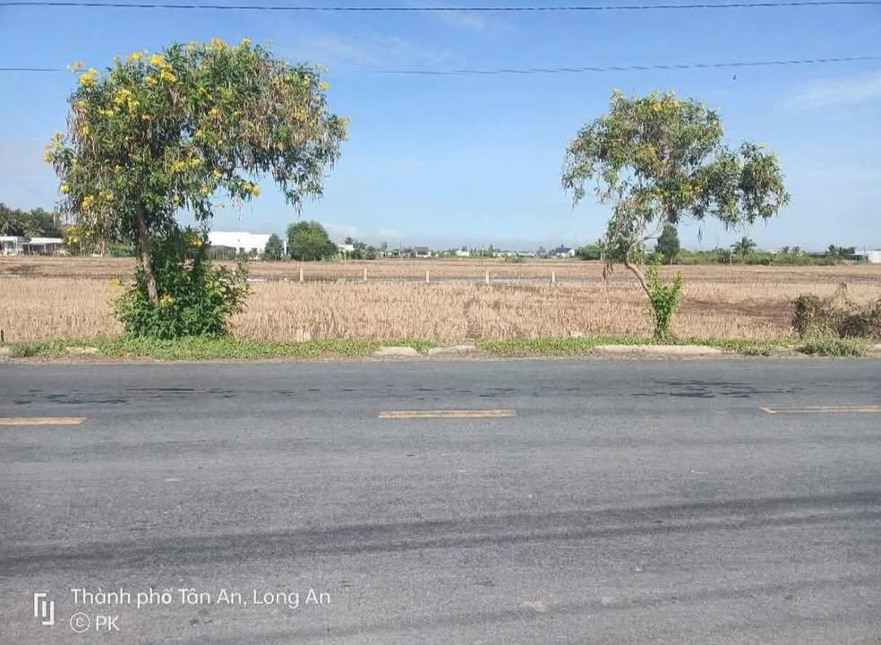 Đất nền 210m² mặt tiền đường Cao Thị Mai, Tân Trụ, Long An - Giá 1.4 tỷ, thương lượng ngay!