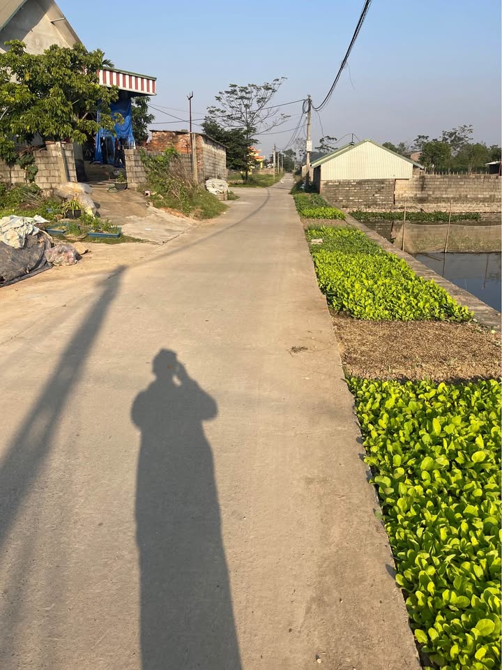 Đất nền Xuân Mai, Chương Mỹ 500m² giá 5.5 tỷ - Tiện ích an sinh tuyệt vời!