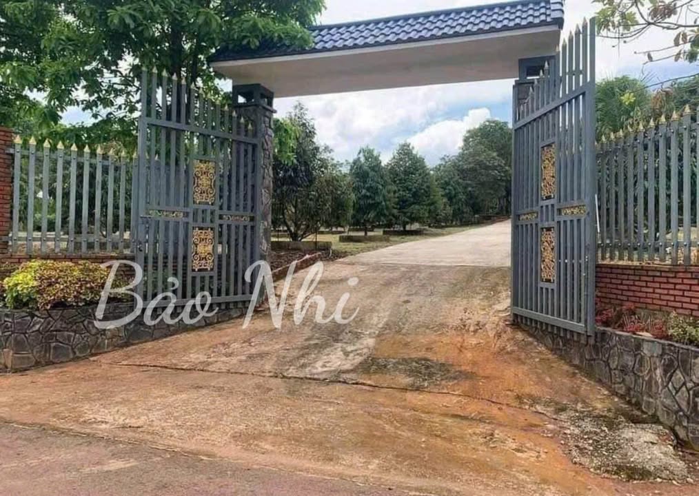 Bán vườn sầu riêng 4000m² tại Chơn Thành, Bình Phước - Sổ hồng riêng, giá chỉ 1.728 tỷ!