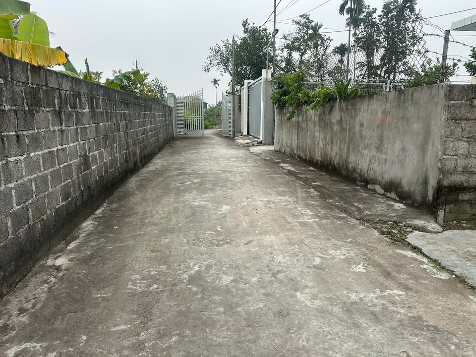 Đất Hữu Bằng, Kiến Thụy, Hải Phòng 154m² giá chỉ 1.x tỷ - Cơ hội đầu tư tuyệt vời!