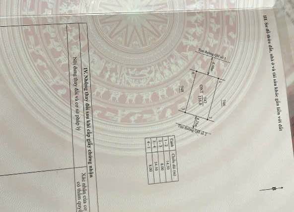 Đất nền mặt đường gom Tây Lương Tiền Hải 116m² giá 1.5 tỷ - Cơ hội đầu tư hiếm có!