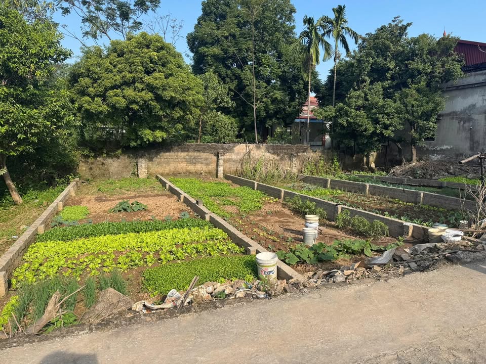 Đất nền Vân Đình 65m² giá thỏa thuận - Chính chủ bán gấp!