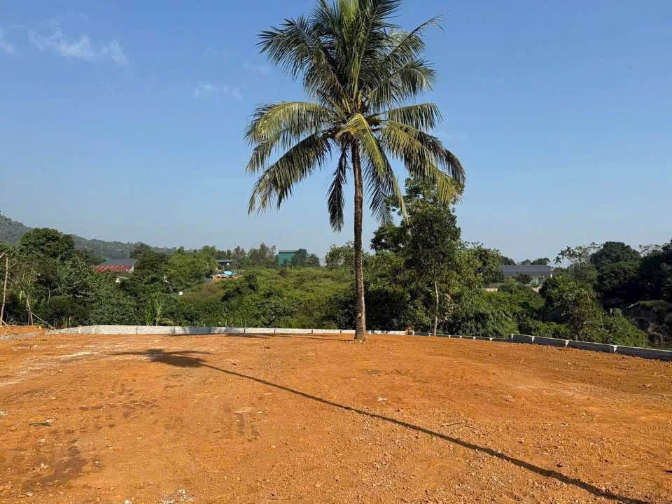 Đất nền đẹp tại xã Yên Bài - Hà Nội, 720m², Mặt tiền 20m – Tiềm năng đầu tư cao!