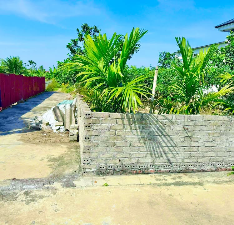 Lô đất 2 mặt tiền xã Tân Viên 76m² - Đầu tư sinh lời ngay hôm nay!