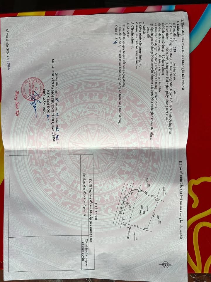 Đất mặt tiền HCM Phong Nha 1000m² giá 1 tỷ - Cơ hội đầu tư không thể bỏ lỡ!