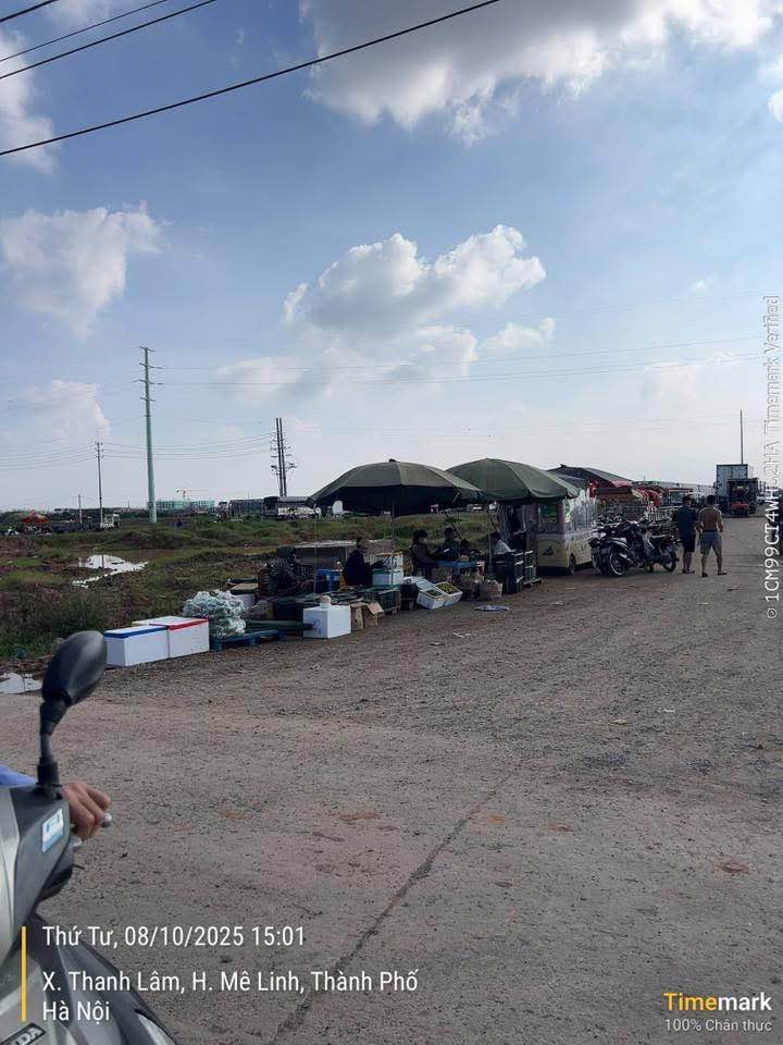 Đất thổ cư 85m² Quang Minh Mê Linh giá 3 tỷ - Gần chợ, trường học!