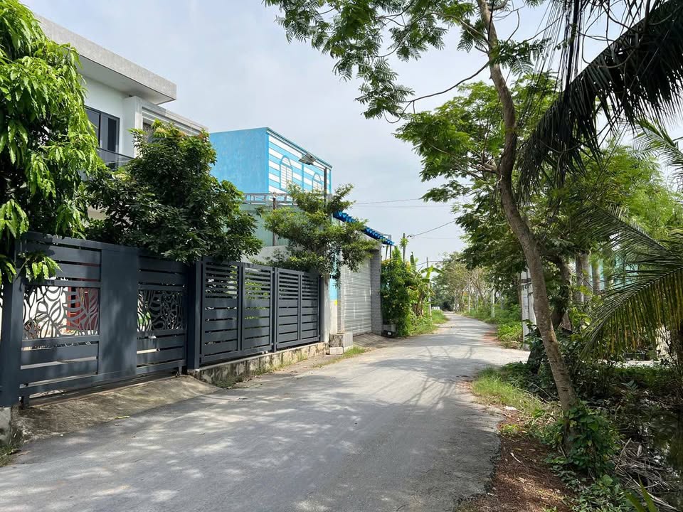 Đất thổ cư Hưng Long, Bình Chánh 115m² giá 3.1 tỷ - Sổ hồng riêng, ô tô vào tận nơi!