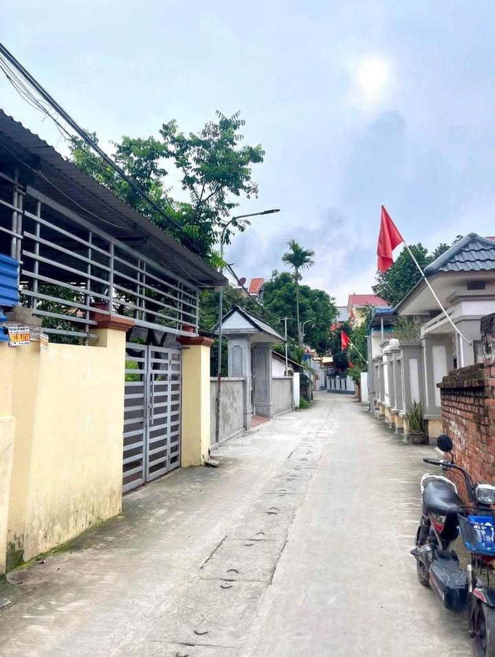 Đất nền thổ cư 84m² tại Thôn Yên Vinh, Mê Linh - Giá chỉ 400 triệu!