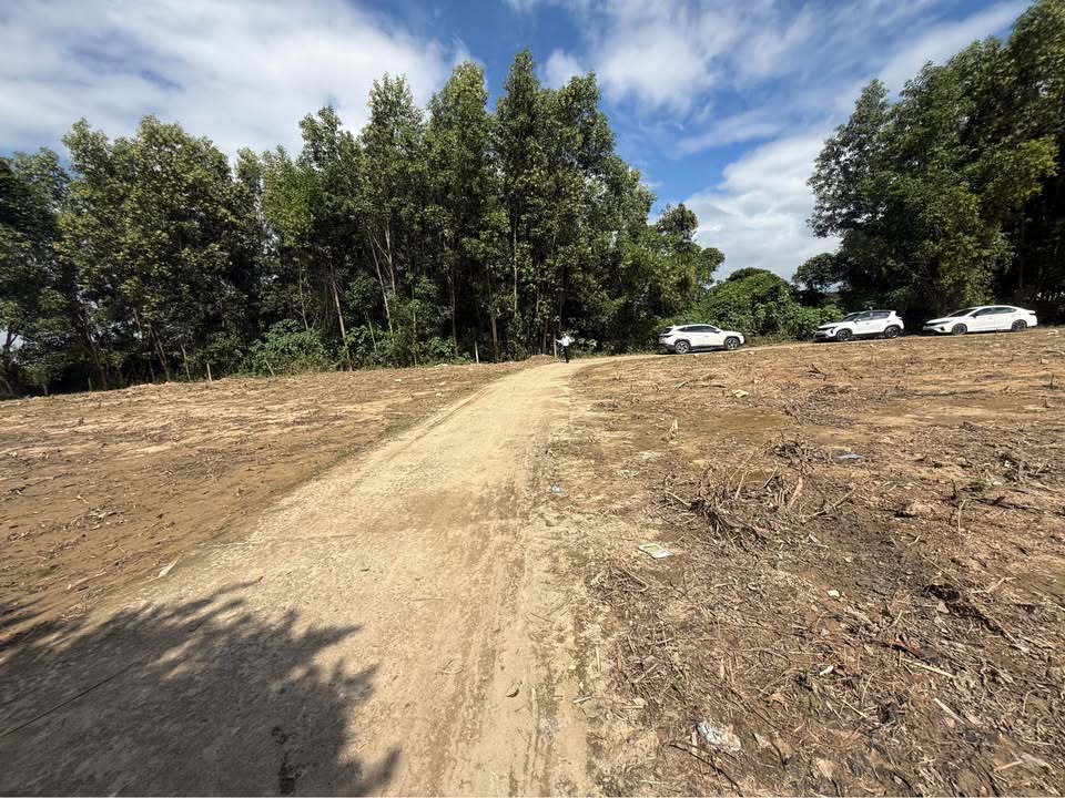 Đất nền Diên Hòa 208m² giá chỉ 999 triệu - Đường ô tô thông thoáng!