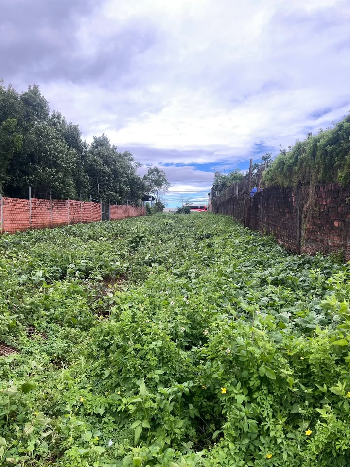 Đất nền Quốc lộ 14, xã Ia Phang, Chư Pưh, Gia Lai - Diện tích 836m², giá 16.5 tỷ, cơ hội đầu tư tuyệt vời!