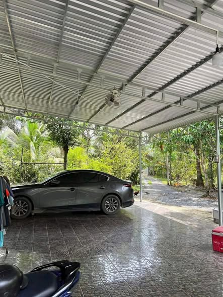 Đất vườn dừa Hữu Định Châu Thành 6600m² giá 5.94 tỷ - Khu vực yên tĩnh, tiềm năng đầu tư!