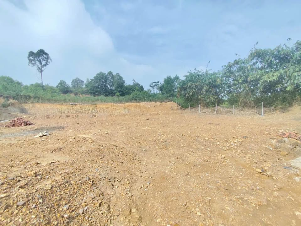 Đất nền Cẩm Lĩnh Ba Vì 775m² giá 3 tỷ - Pháp lý rõ ràng, đầu tư sinh lời!