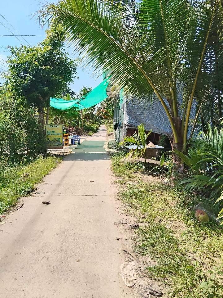 Đất thổ cư Ấp Trường Thọ 239,5m² giá chỉ 300 triệu - Cơ hội đầu tư hấp dẫn!