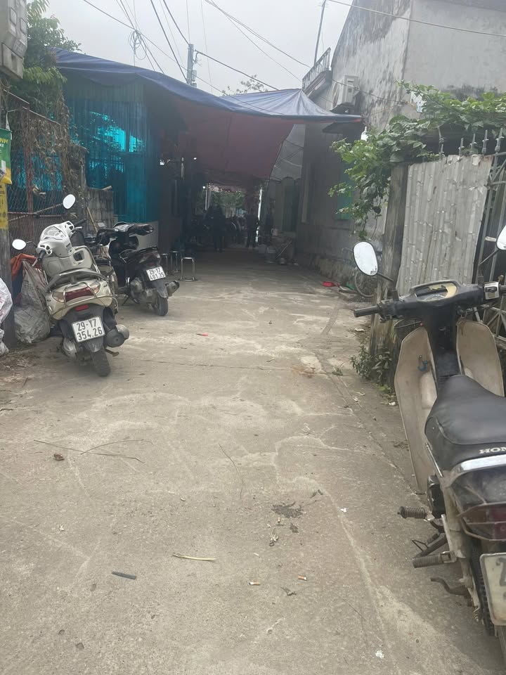 Đất nền Phúc Tiến, Phú Xuyên 100m² giá thương lượng - Đường ô tô vào tận nơi!