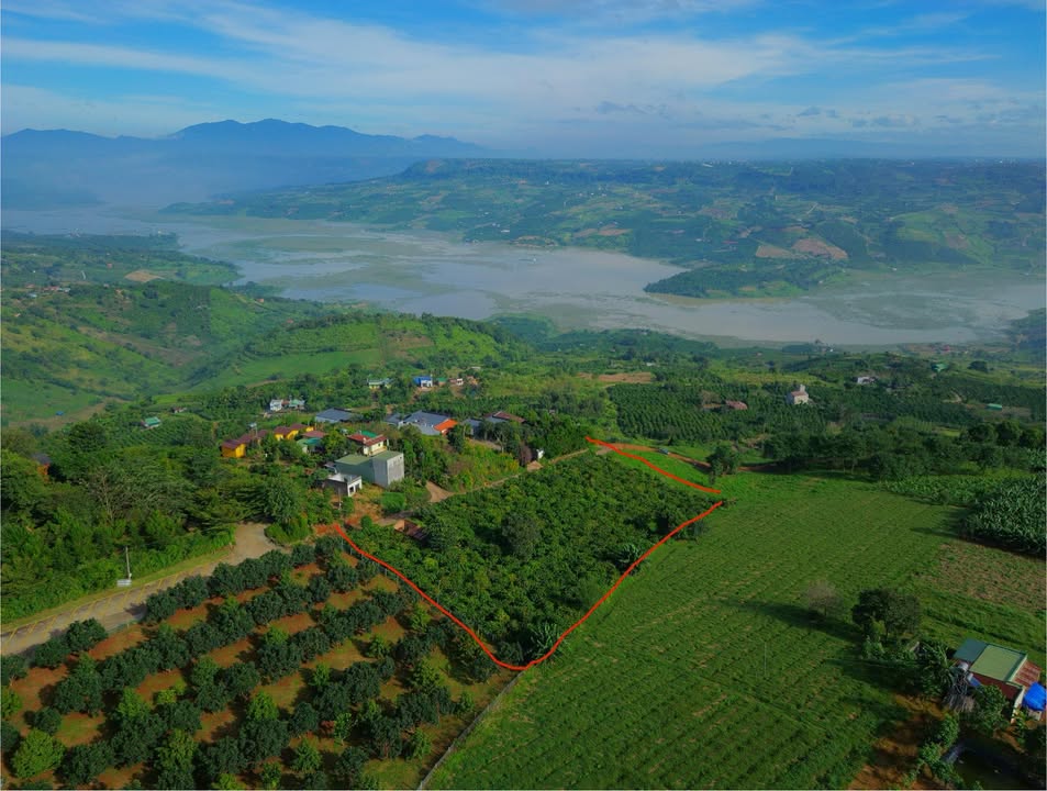 Đất thổ cư Tân Nghĩa Di Linh 4000m² giá 5 tỷ - View sông thơ mộng!