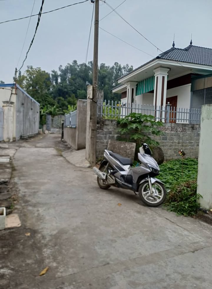 Bán lô đất đẹp TDP Quảng Thanh 1, Thủy Nguyên, Hải Phòng 75m² - Đầu tư sinh lời hấp dẫn!