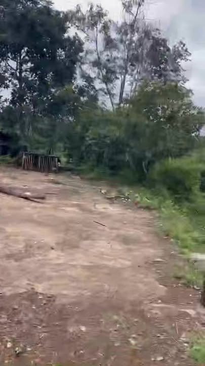 Đất nền Ea Kiết Cư M'gar 3100m² giá 990 triệu - Phù hợp nghỉ dưỡng lý tưởng!