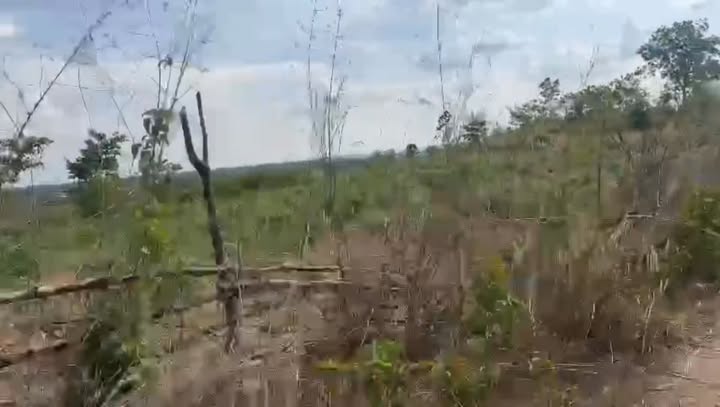 Đất farm 9,5ha tại Ea Wer - Đăk Lắk giá 5,5 tỷ - Tiềm năng đầu tư lớn!