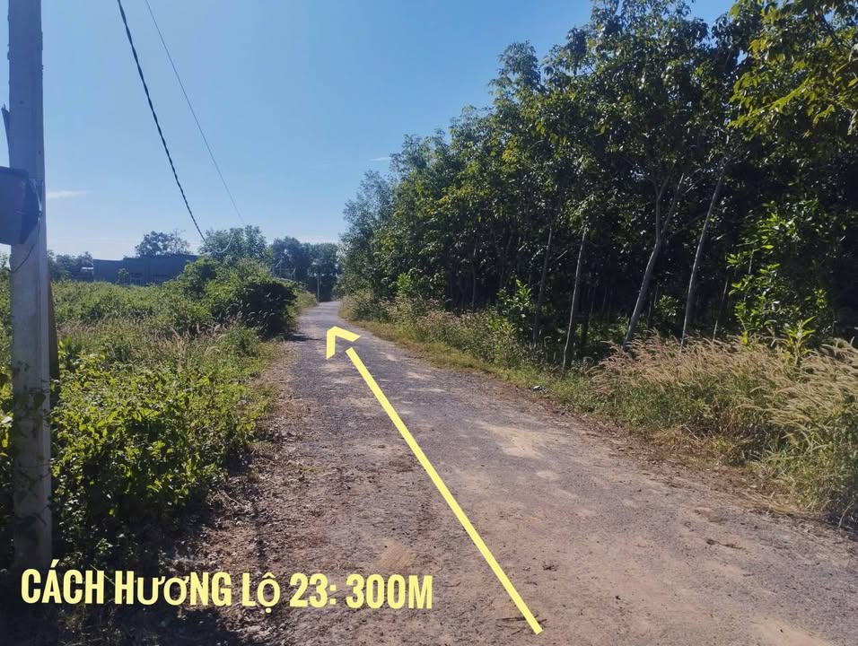 Đất nền Hòa Hội, Châu Thành, 95m² giá 125 triệu - Sổ đỏ chính chủ, đường nhựa 20m!