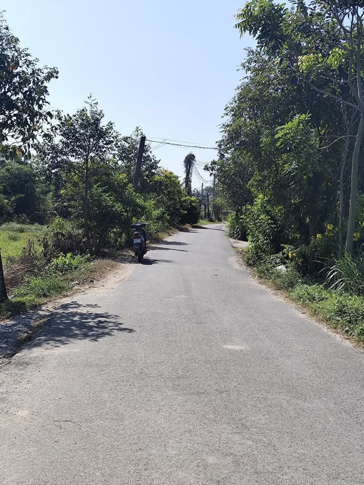 Đất mặt tiền Ấp Mới, Hóc Môn 1160m² giá 1.45 tỷ - Đầu tư sinh lời ngay!