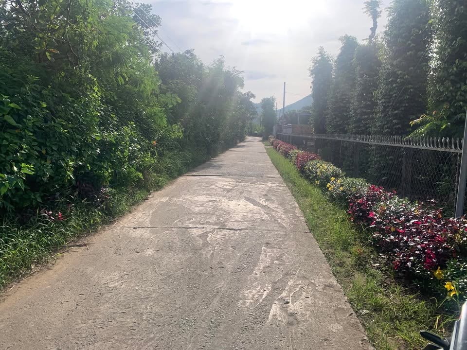 Đất nền 1 sào 1100m² tại Phú Thịnh, Tân Phú, Đồng Nai - Giá 850 triệu, thương lượng!